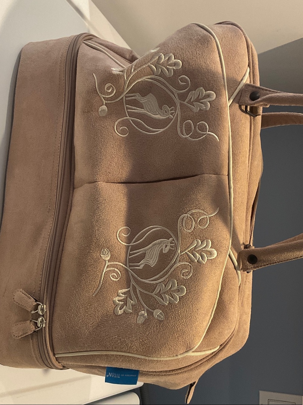 Titan Suede Embroidered Tote in Taupe